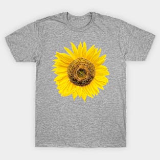 Sunflower Sunflower T-Shirt